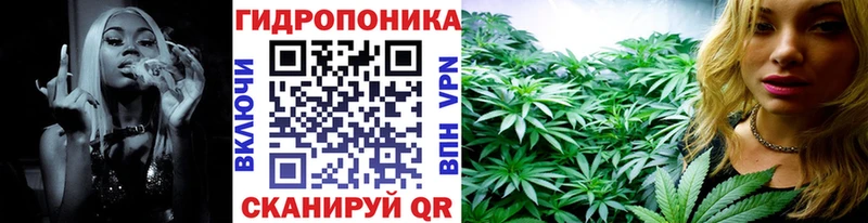 A-PVP Кохма