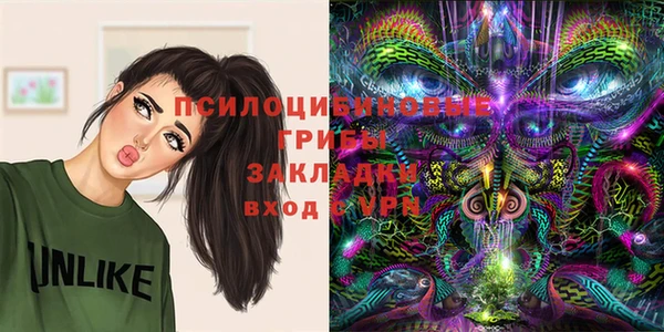 тгк Абинск