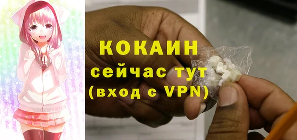 PSILOCYBIN Абаза