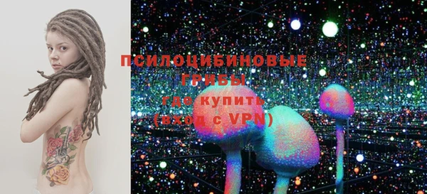 PSILOCYBIN Абаза