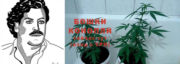 PSILOCYBIN Абаза