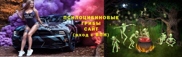 PSILOCYBIN Абаза