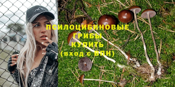 тгк Абинск