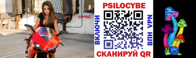 Псилоцибиновые грибы Cubensis закладки Кохма